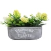 Verdant Bliss Planter