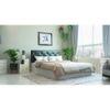 Charcoal Engineered Wood Queen Size Bed In White Finish