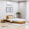 Hexa Engineered Wood Modern Single Bed With Headboard Without Storage In Giant Wood