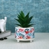 Attractive Aloe Vera Plant With Flowers Print Ceramic Pot