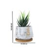 White 1 Pieces Succulent Artificial Plant With Pot