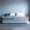 Sleepwell Dual Pro Foam Resitec Medium Firm Profiled Pu-Foam Queen Size Mattress (Thickness: 5 Inches, Dimensions: 72 X 60 Inches)