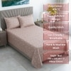 Vine Shade Floral Cotton 400 Tc Flat Single Bed Size Bedsheet With 2 Pillow Covers
