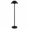 Dome Floor Lamp in Black Colour