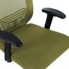 Ebeaony Mid Back Ergonomic Chair in Pearl Green Colour