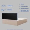 Nadi Engineered Wood Queen  Size Bed With Hydraulic Storage (Melamine Finish, White Colour)