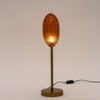 Astra Handcrafted  Table Lamp