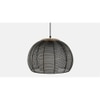 Dashiell Black Iron Hanging Light