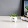 Whisker Cat Ceramic Planter
