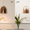 Dione Brass Mini Hanging Lamp