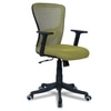 Peacifice Mid Back Ergonomic Chair in Pearl Green Colour