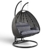 Scarlet Metal Swing in Black Color - with Stand