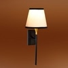 Devansh Metal Electric Wall Light in Black Colour with Multi Shade Count of 1 Light