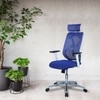 Wiweangs High Back Ergonomic Chair in Blue Colour