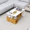 Hexa Engineered Wood Coffee Table With Storage In Frosty White And Giant Wood
