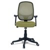 Goolda Low Back Ergonomic Chair in Pearl Green Colour