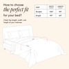Stoa Paris Comforter Set Double Bed, 300TC Satin Double Bed Comforters in Melted Caramel