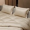 Stoa Paris Comforter Set Double Bed, 300TC Satin Double Bed Comforters in Charming Ivory