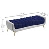 Hoslo Velvet 2 Seater Ottoman Bench in Navy Blue & Grey Color