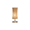 Damru Bamboo table lamp with Steel Base -40