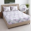 White And Pink Shade  Floral Cotton400 Tc Fitted Double Queen Size Bedsheet With 2 Pillow Covers