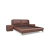Amorous Leather Queen  Size Bed Without Storage (Brown Colour)