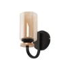 Eliante Modern Wall Lights Mild Steel, Wood, Glass & Glass Material Brown, Gold & Golden Finish