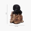 VEDAS Polyresin  Figurine in Black Colour