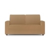 2 Seater Golden  Sofa Cover