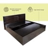 Graces Engineered Wood Queen  Size Bed With Box Storage (Walnut Finish)