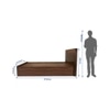 Aglaea Engineered Wood Queen  Size Bed With Box Storage (Walnut Finish)