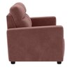 Alvaro Velvet 2 Seater Sofa Pink Color
