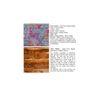 Bestone Solid Wood Bench In Bird Print Grey Kantha Fabric