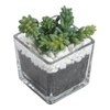 Celiea Artificial Plant With Pot