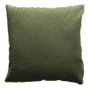 Shawn Green Cotton Cushion Cover