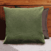 Shawn Green Cotton Cushion Cover