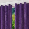 Alandra Door Curtain - Set Of 2