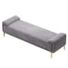Arvia Velvet 2 Seater Ottoman Bench in Grey Color