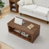 Coffee Table With Storage
