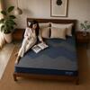 Dual Comfort Hybrid Hard & Soft Mattress (72 x 36 in, 6 Inches)