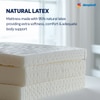 Sleepwell Ortho Pro Natural Latex, Back & Spine Support 6 inch King High Resilience (HR) Foam Mattress (L x W: 84 inch x 70 inch)