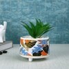 Attractive Aloe Vera Plant With Leafy Print Ceramic Pot