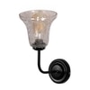 Devansh Metal Electric Wall Light in black Colour with Transparent Shade Count of 1 Light