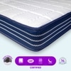 Ortho Pocket with SrtX Tech King Size Mattress (72 x 70 in, 10 Inches)