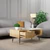 Hexa Engineered Wood Coffee Table With 1 Drawer In Giant Wood And Frosty White
