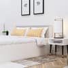 Hexa Engineered Wood Modern Queen Bed With Headboard With Storage In Frosty White