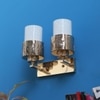 Eliante Modern Wall Lights Mild Steel & Glass Material Gold & White Finish