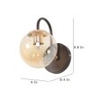 Eliante Modern Wall Lights Mild Steel, Glass & Glass Material Brown,Gold & Champaign Finish