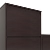 Kamiya Engineered Wood Shoe Rack In Columbian Walnut Finish