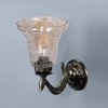 Devansh Metal Electric Wall Light in Antique gold Colour with Transparent Shade Count of 1 Light